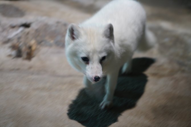 珠海长隆海洋王国2天1夜游玩攻略,最新珠海长隆海洋王国旅游攻略