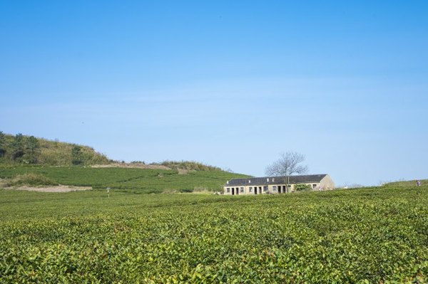 太湖舒畅之旅:乐享田园生活