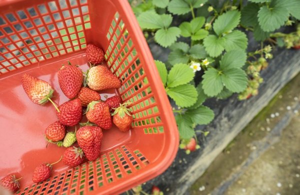 太湖舒畅之旅:乐享田园生活