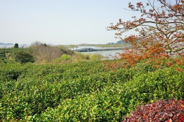 太湖舒畅之旅:乐享田园生活