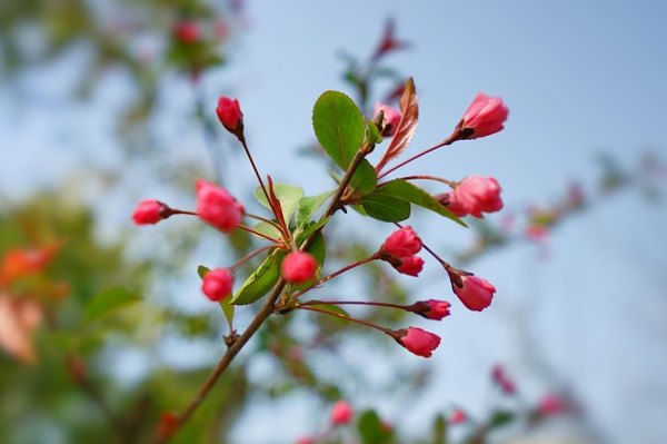 太湖舒畅之旅:乐享田园生活