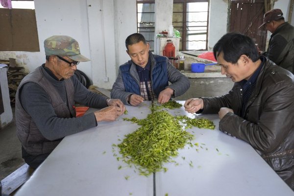 太湖舒畅之旅:乐享田园生活