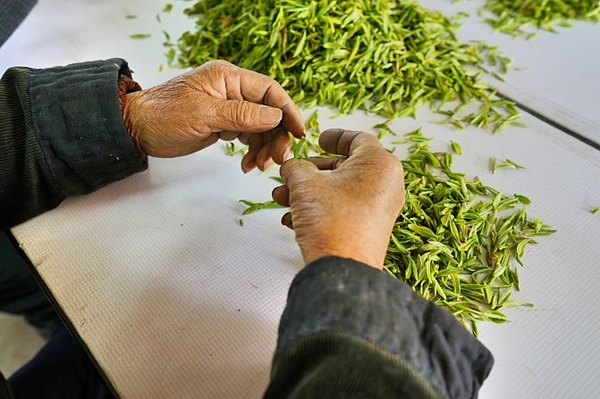 太湖舒畅之旅:乐享田园生活