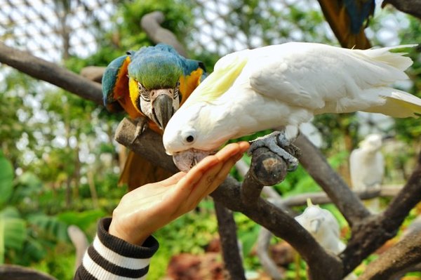 太湖舒畅之旅:乐享田园生活