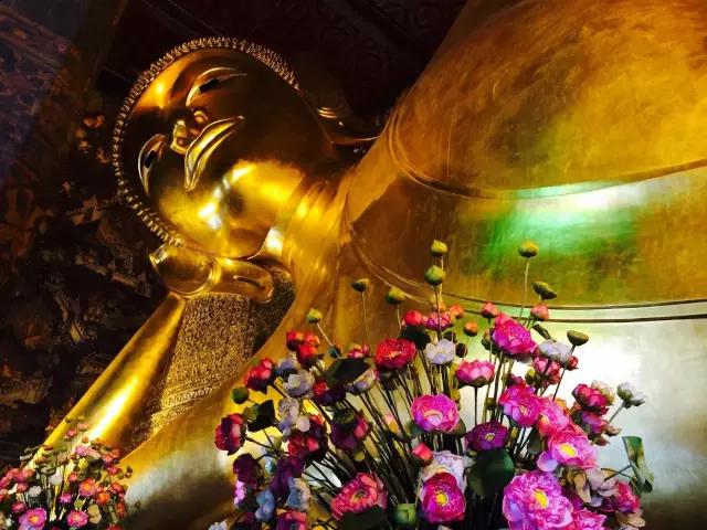 揭秘:真实的泰国人妖,昙花一现的美丽