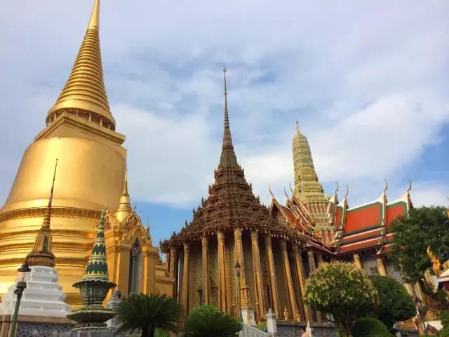 揭秘:真实的泰国人妖,昙花一现的美丽