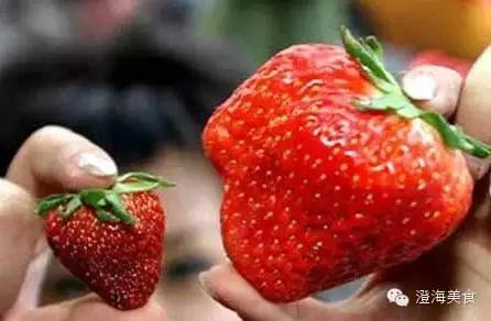 这些水果分分钟会毒死我们,看看吧.....