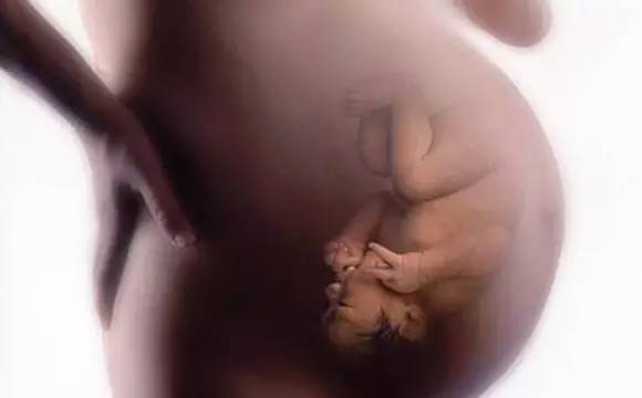 胎儿臀位出生视频,孕晚期胎儿臀位纠正视频