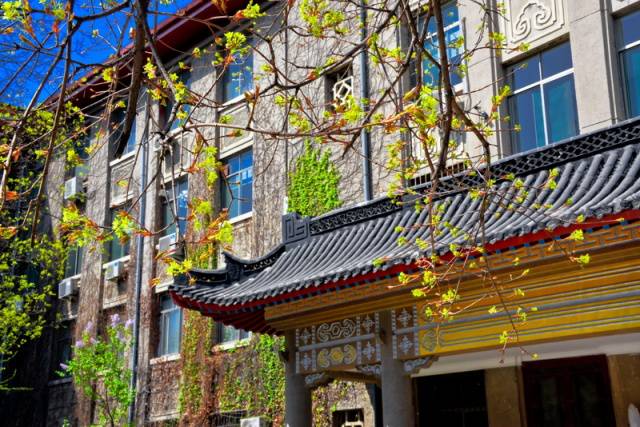 趣谈山大趵突泉校区,春风十里不如你