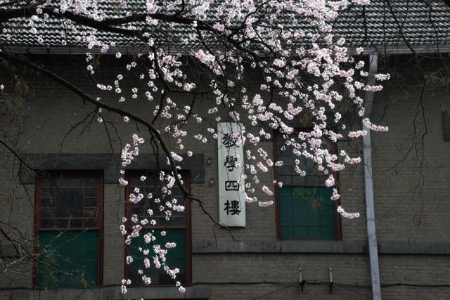 趣谈山大趵突泉校区,春风十里不如你