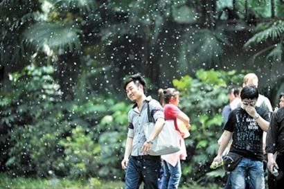 这种特殊过敏体质的皮炎叫特应性皮炎，终于有中国的诊断标准啦