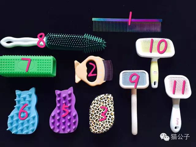 到处都是猫毛,短毛猫梳和长毛梳什么区别