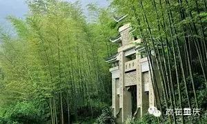 假如重庆是一个班级,按重庆区县划分班级职务