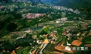 假如重庆是一个班级,按重庆区县划分班级职务