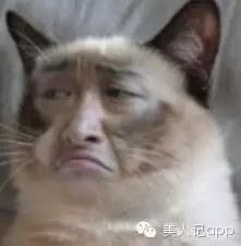 怎么区分眼袋黑眼圈泪沟卧蚕,卧蚕眼袋泪沟黑眼圈