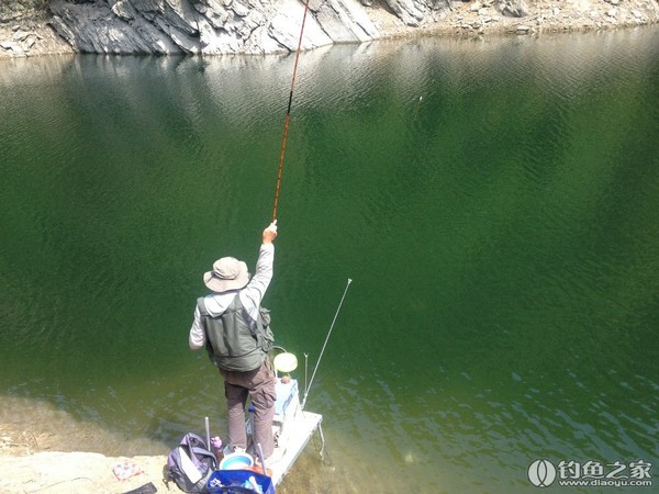 探钓野生鱼视频,探钓野生水库
