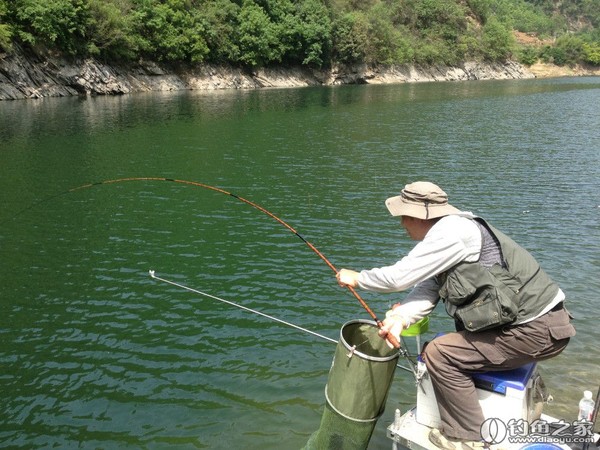 探钓野生鱼视频,探钓野生水库