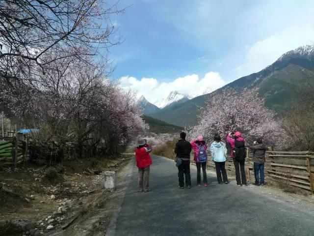 西藏林芝行一路风景如画,林芝最美小镇