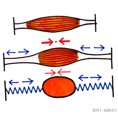 高尔夫挥杆定点手腕的角度,高尔夫挥杆右手角度解析