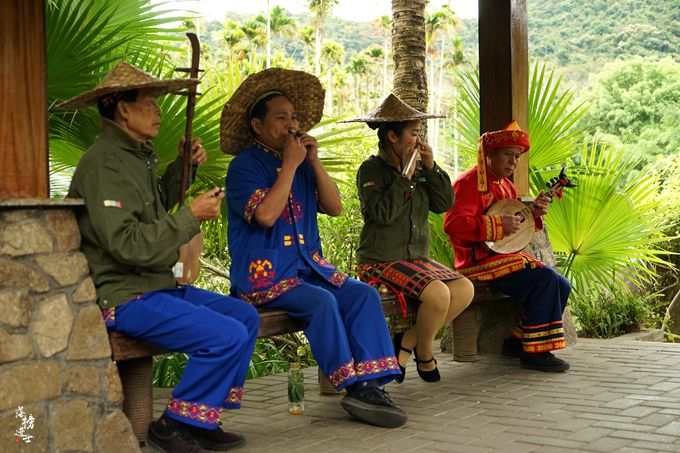 呀诺达，拾起我童年记忆的热带雨林