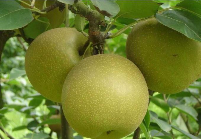 选择农学有N个理由让你信服