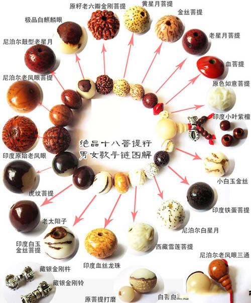 深处的秘密完整版,深处的秘密介绍