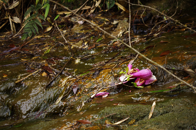 苏州穹窿山景区风景,苏州穹窿山半山腰