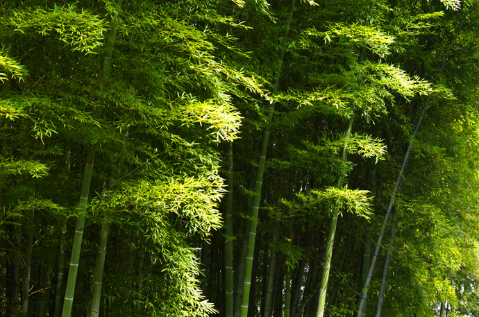 苏州穹窿山景区风景,苏州穹窿山半山腰