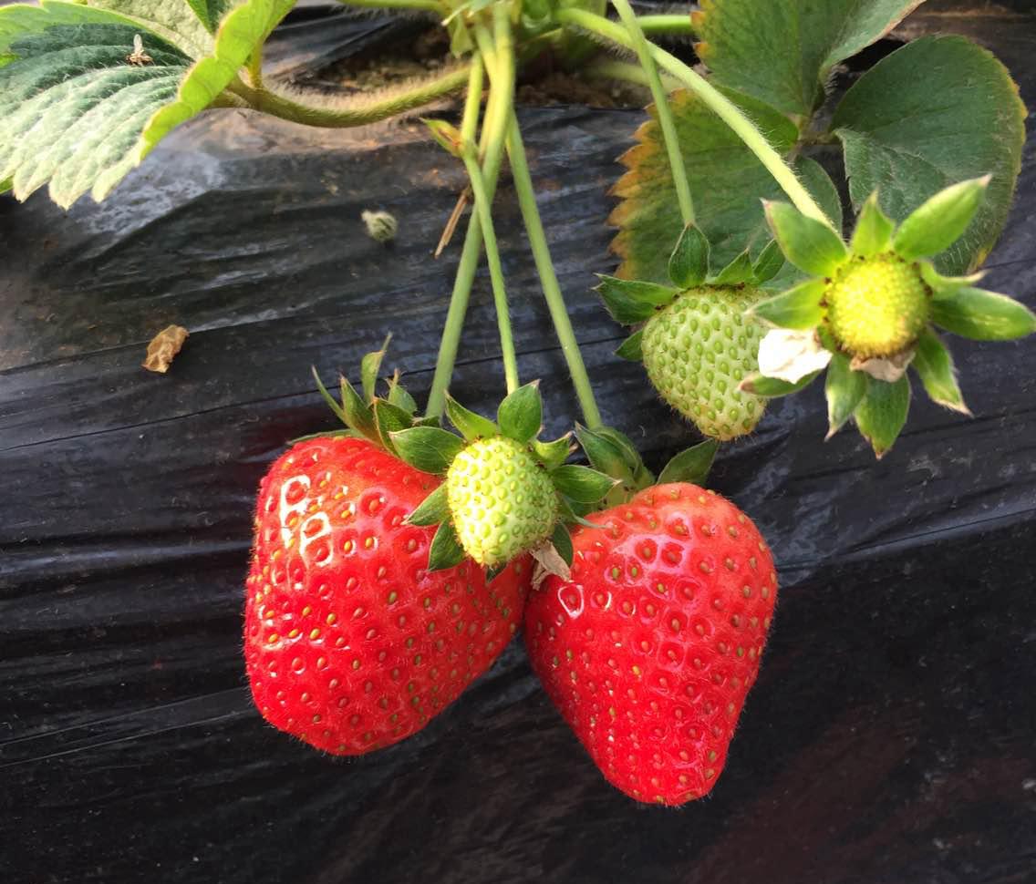 一大波好消息来袭，只和天津人有关，全国人民只有羡慕的份