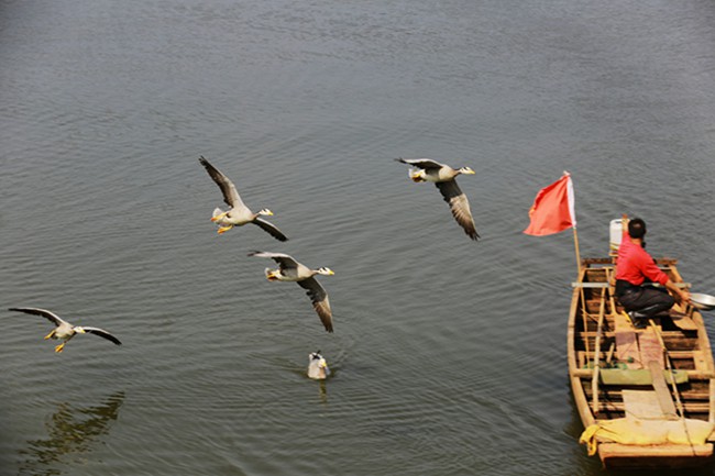 南宁十里花卉长廊农家乐,南宁大明山农家乐排名前十