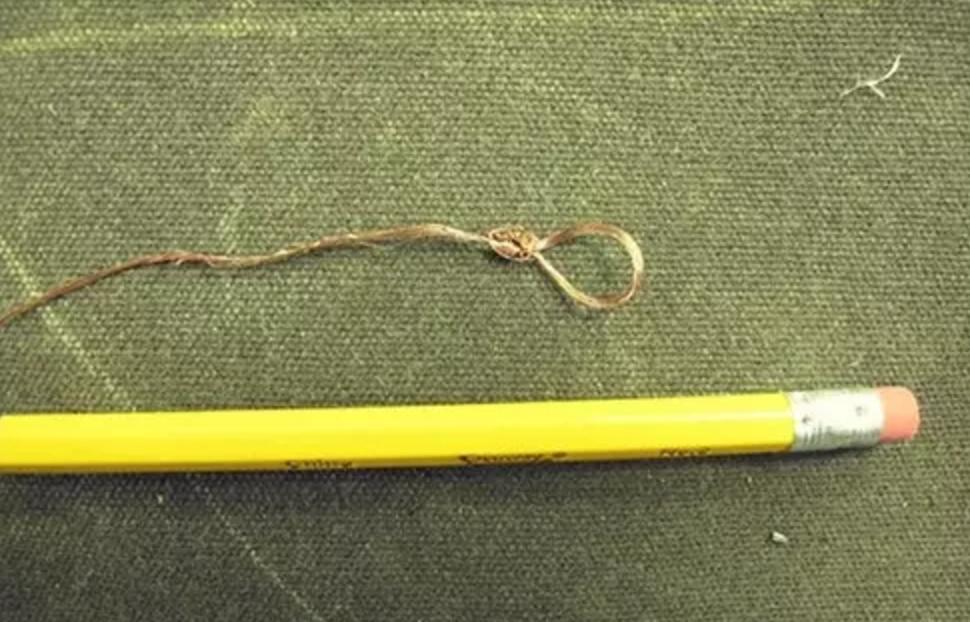 野外生存diy教你制作捕捉陷阱,野外求生陷阱简单大全