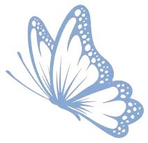 沐浴暖阳踏青,踏青走起