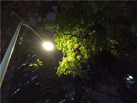 oppor9自拍测试,oppor9性能