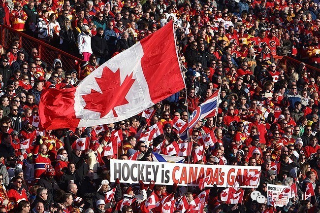 当加拿大女婿,你以为小撒容易吗?