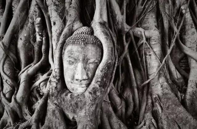 攻略不下来讲的什么,攻略不了你是什么意思