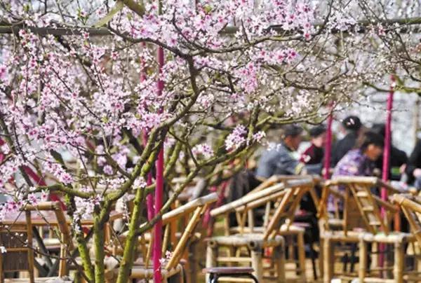 龙泉驿原来是个什么地方,龙泉驿的历史与变迁