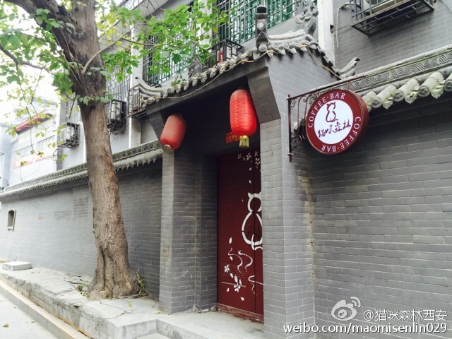 西安还有这么一个地方可以让你被猫咪围绕，享受当铲屎官的感觉