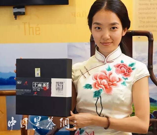 世博茶叶,中国十大世博名茶