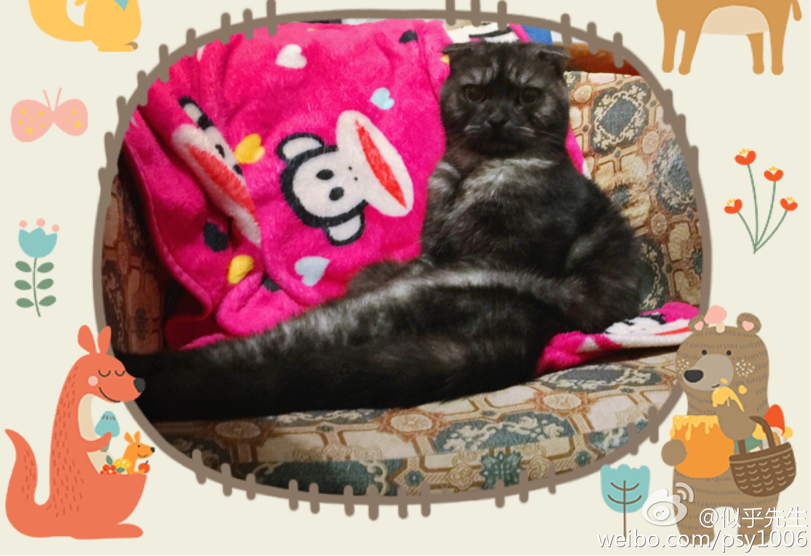 鎶樿姳鏈垫姌铦磋澏,鎶樿姳