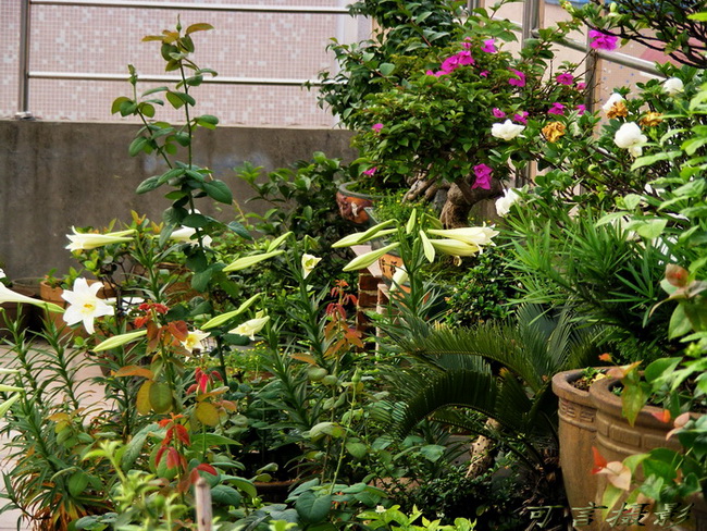 清明小长假打卡成都,懒癌假期