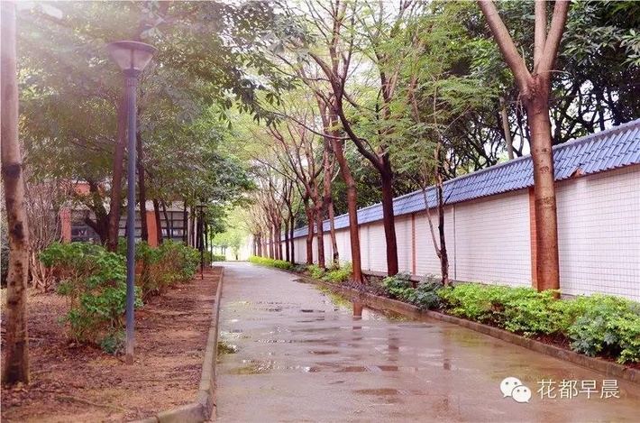 广州市花都区圆玄中学电话,广州市花都区圆玄中学