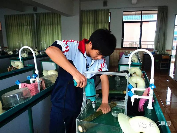 广州市花都区圆玄中学电话,广州市花都区圆玄中学