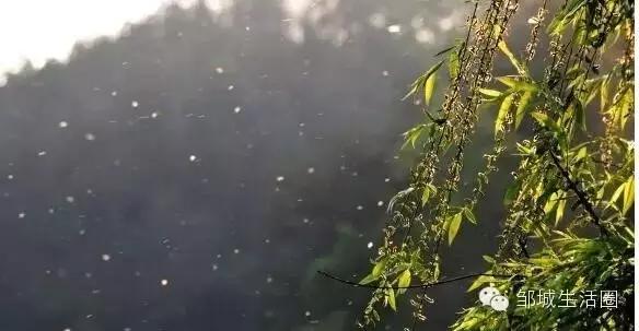 邹城大雪预警,邹城大雪