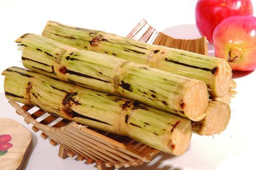 这个季节吃甘蔗有啥危害,甘蔗什么季节吃