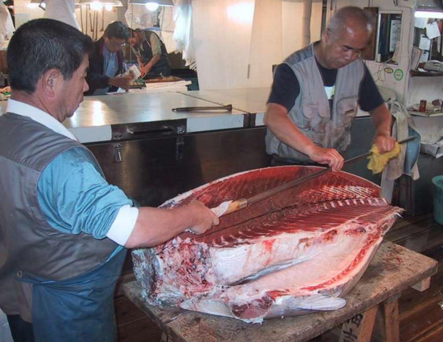 女孩吃过量泻药腹泻,女士吃泻药腹泻不止