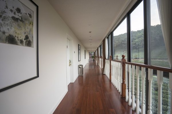 太湖舒畅之旅:乐享田园生活