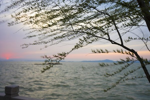 太湖舒畅之旅:乐享田园生活