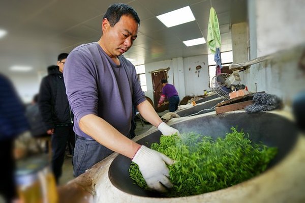 太湖舒畅之旅:乐享田园生活