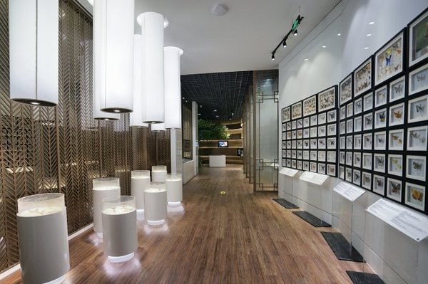 太湖舒畅之旅:乐享田园生活