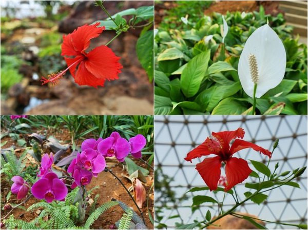 太湖舒畅之旅:乐享田园生活